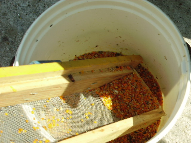 foto 19